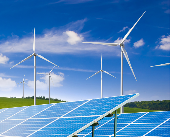 Sostenibilidad, el nuevo motor invisible que está reescribiendo el emprendimiento en México